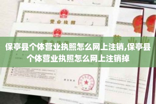保亭县个体营业执照怎么网上注销,保亭县个体营业执照怎么网上注销掉