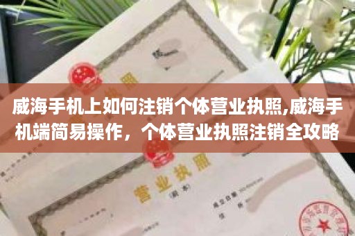 威海手机上如何注销个体营业执照,威海手机端简易操作，个体营业执照注销全攻略
