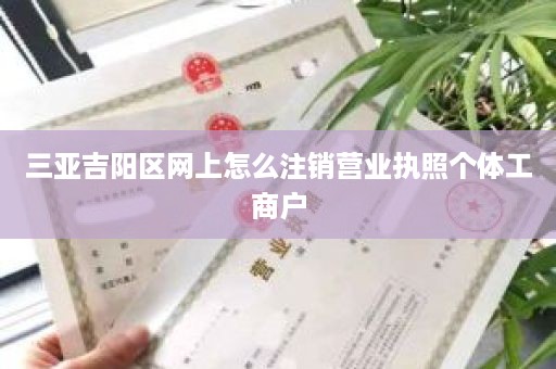 三亚吉阳区网上怎么注销营业执照个体工商户
