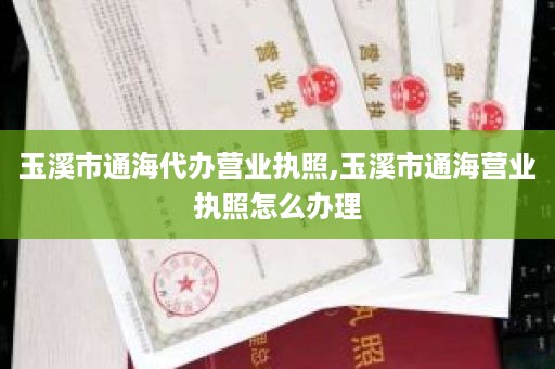 玉溪市通海代办营业执照,玉溪市通海营业执照怎么办理