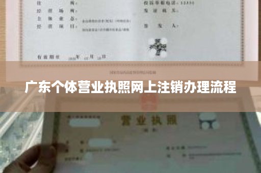 广东个体营业执照网上注销办理流程