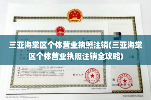 三亚海棠区个体营业执照注销(三亚海棠区个体营业执照注销全攻略)