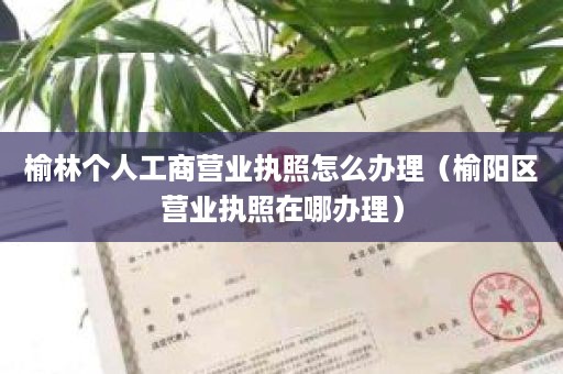 榆林个人工商营业执照怎么办理（榆阳区营业执照在哪办理）