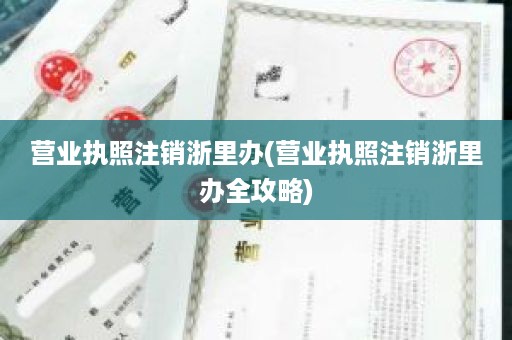 营业执照注销浙里办(营业执照注销浙里办全攻略)