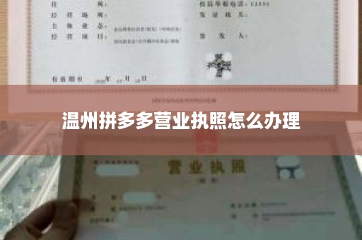 温州拼多多营业执照怎么办理
