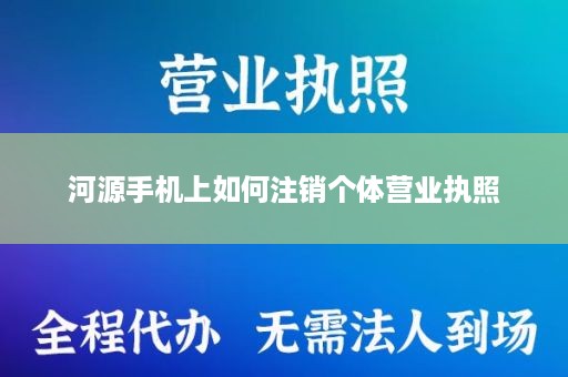 河源手机上如何注销个体营业执照