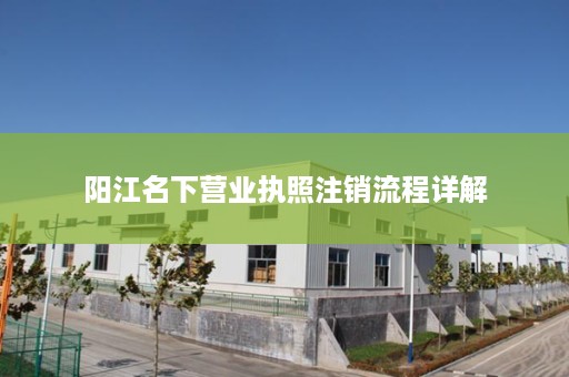 阳江名下营业执照注销流程详解