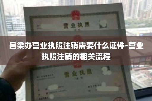 吕梁办营业执照注销需要什么证件-营业执照注销的相关流程