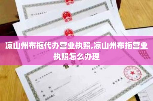 凉山州布拖代办营业执照,凉山州布拖营业执照怎么办理