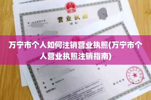 万宁市个人如何注销营业执照(万宁市个人营业执照注销指南)