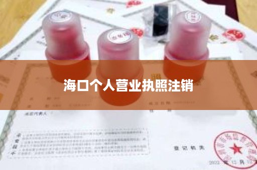 海口个人营业执照注销