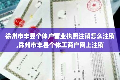 徐州市丰县个体户营业执照注销怎么注销,徐州市丰县个体工商户网上注销