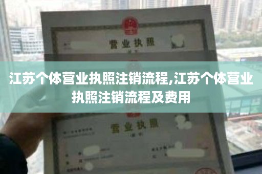 江苏个体营业执照注销流程,江苏个体营业执照注销流程及费用