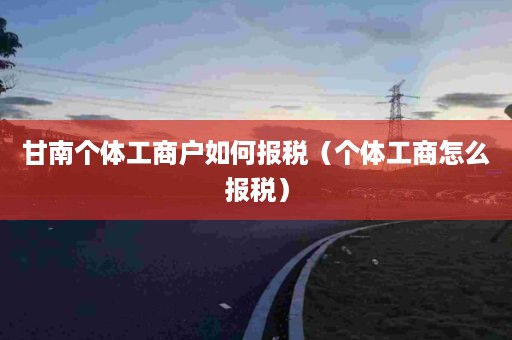 甘南个体工商户如何报税（个体工商怎么报税）