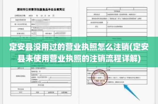 定安县没用过的营业执照怎么注销(定安县未使用营业执照的注销流程详解)