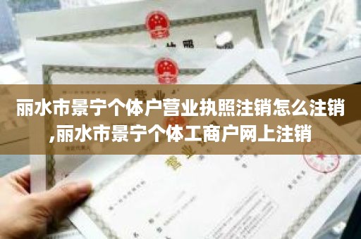 丽水市景宁个体户营业执照注销怎么注销,丽水市景宁个体工商户网上注销