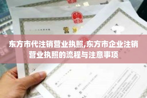 东方市代注销营业执照,东方市企业注销营业执照的流程与注意事项