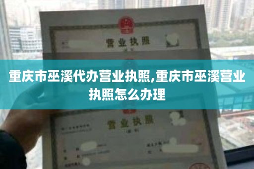 重庆市巫溪代办营业执照,重庆市巫溪营业执照怎么办理