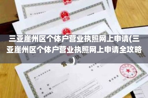 三亚崖州区个体户营业执照网上申请(三亚崖州区个体户营业执照网上申请全攻略)