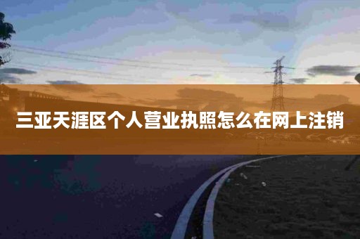 三亚天涯区个人营业执照怎么在网上注销