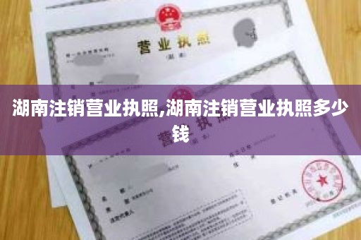 湖南注销营业执照,湖南注销营业执照多少钱