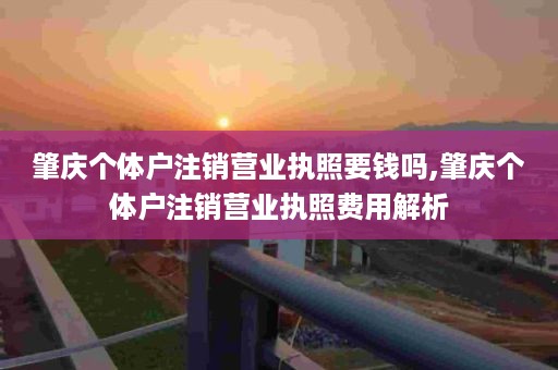 肇庆个体户注销营业执照要钱吗,肇庆个体户注销营业执照费用解析