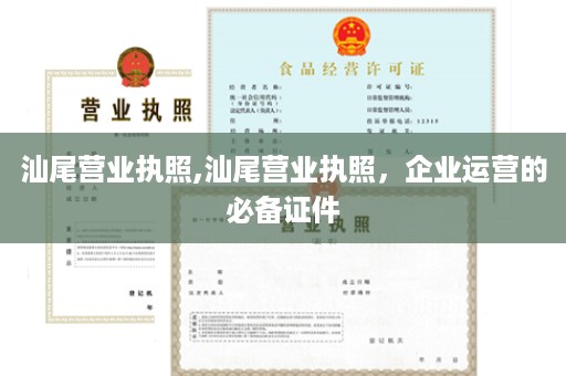 汕尾营业执照,汕尾营业执照，企业运营的必备证件