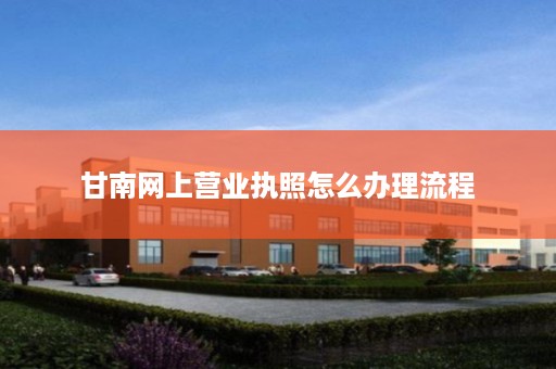 甘南网上营业执照怎么办理流程