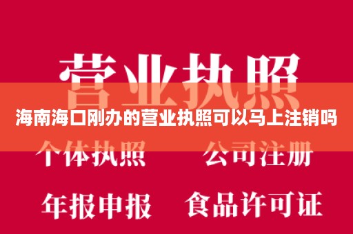 海南海口刚办的营业执照可以马上注销吗
