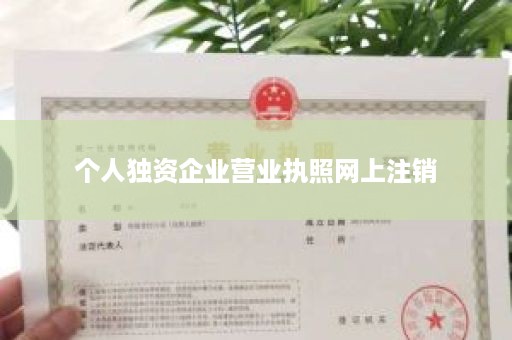 个人独资企业营业执照网上注销