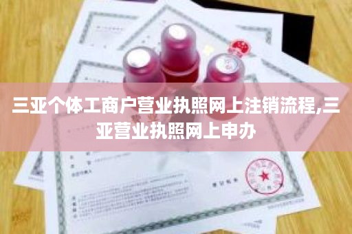 三亚个体工商户营业执照网上注销流程,三亚营业执照网上申办