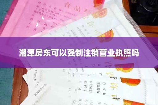 湘潭房东可以强制注销营业执照吗