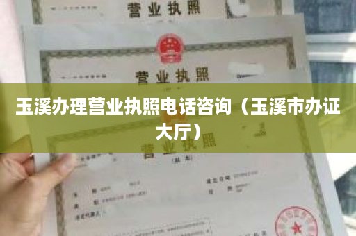 玉溪办理营业执照电话咨询（玉溪市办证大厅）
