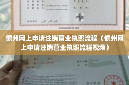 儋州网上申请注销营业执照流程（儋州网上申请注销营业执照流程视频）