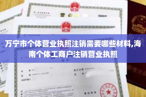万宁市个体营业执照注销需要哪些材料,海南个体工商户注销营业执照