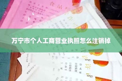 万宁市个人工商营业执照怎么注销掉