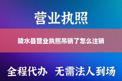 陵水县营业执照吊销了怎么注销