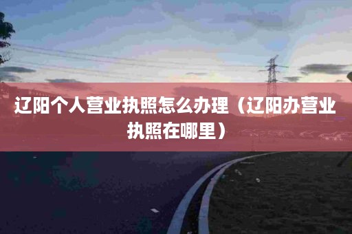 辽阳个人营业执照怎么办理（辽阳办营业执照在哪里）