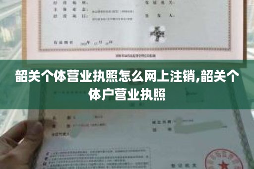 韶关个体营业执照怎么网上注销,韶关个体户营业执照