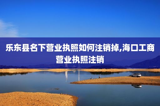 乐东县名下营业执照如何注销掉,海口工商营业执照注销