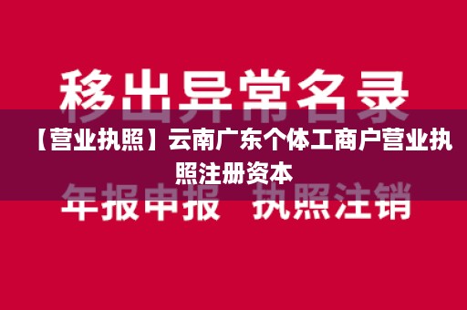 【营业执照】云南广东个体工商户营业执照注册资本