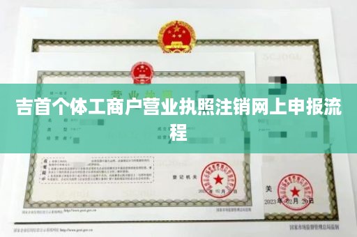 吉首个体工商户营业执照注销网上申报流程