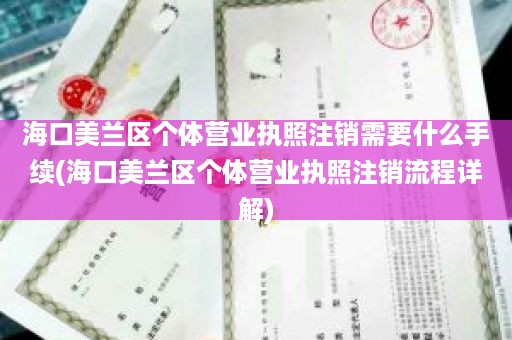 海口美兰区个体营业执照注销需要什么手续(海口美兰区个体营业执照注销流程详解)