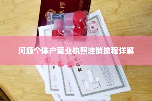 河源个体户营业执照注销流程详解