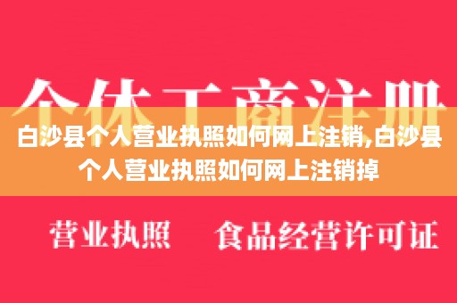 白沙县个人营业执照如何网上注销,白沙县个人营业执照如何网上注销掉