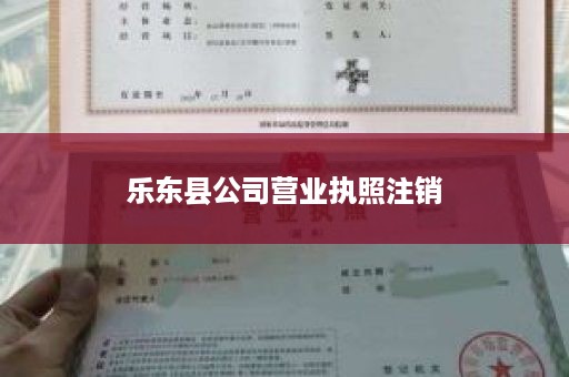 乐东县公司营业执照注销