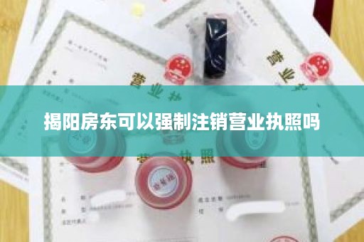 揭阳房东可以强制注销营业执照吗