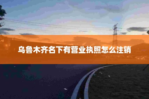 乌鲁木齐名下有营业执照怎么注销