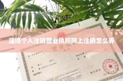 淄博个人注销营业执照网上注销怎么弄