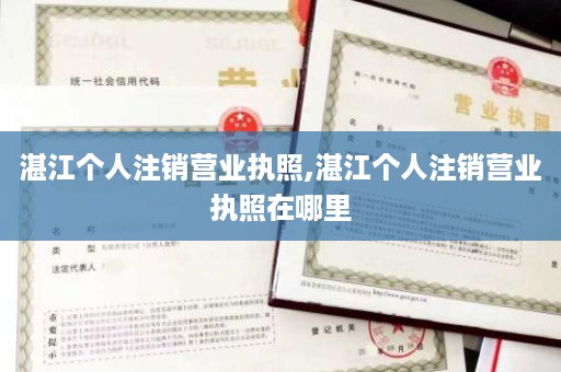 湛江个人注销营业执照,湛江个人注销营业执照在哪里